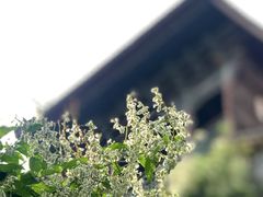 -五泉山公园
