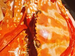 -曼格蒸汽活海鲜·榴莲自助(皇庭广场店)