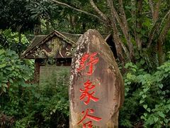-野象谷景区