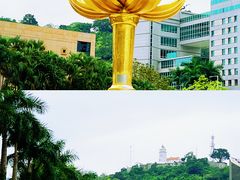 -金莲花广场
