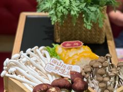 -廖掌柜·重庆鲜货火锅(上海首店)