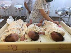 -海豚湾高端月子会所(黄浦店)