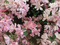 -山海经·海边人家 海鲜新青岛菜(扬州路店)