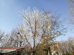 -方庄体育公园