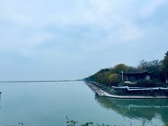 -贡湖湾湿地公园