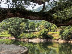 -上坦村
