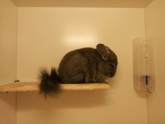 -龙猫仔乐园(惠福东路店)