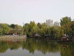 -水绘园