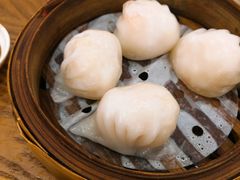 晶莹鲜虾饺-富豪酒家(正大广场店)