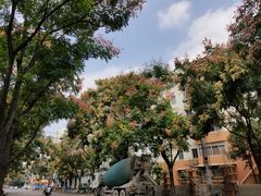 -上海市龙苑中学