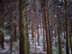 -山王坪喀斯特国家生态公园