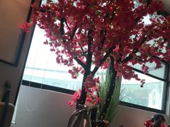 -HELLO MUSAE 拾光缪斯餐厅·纯正希腊风味(苏州中心店)