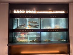 -阿五黄河大鲤鱼(英协路店)