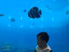 -瑞德姆美人鱼海底演艺主题餐厅(亚龙湾店)