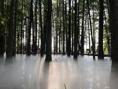 -东湖落雁景区