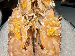 -喜聚薈·花膠雞海鮮火鍋(越秀店)