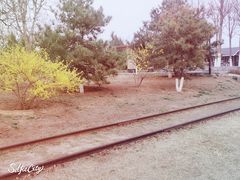 -永定河休闲森林公园