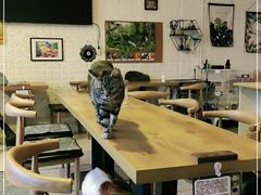 大堂-平行世界·猫咖(首经贸店)