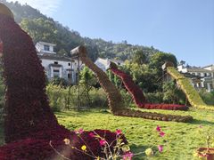 -新安江山水画廊风景区