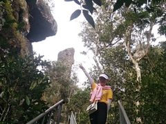 -七仙岭温泉国家森林公园