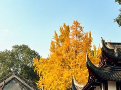 -成都市文殊院