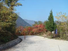 -北京鹫峰国家森林公园