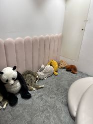 点击看大图 -奈尔宝·儿童乐园·亲子餐厅(前滩店)