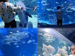 -多彩贵州城极地海洋世界