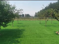 -亲兄弟真人CS团建拓展基地