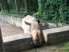 -杭州野生动物世界