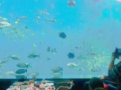 -瑞德姆美人鱼海底演艺主题餐厅(亚龙湾店)