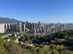 -金鸡山公园