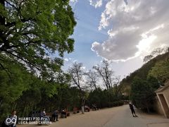 -延安杨家岭革命旧址