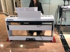 -亮马河饭店翠雅咖啡厅