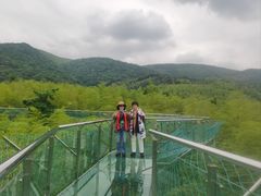 -陶祖圣境风景区