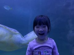 -左海海底世界