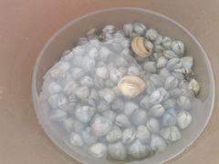 -红树林天天赶海