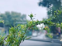 -星巴克臻选(外滩中心店)