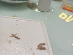 -清真·胖妈妈手抓餐厅(定西路长城宾馆店)