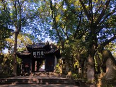 -丰都鬼城名山景区