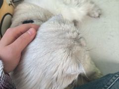 -小时光咖啡馆(北锣鼓巷店)