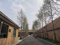 -北京大葆台遗址博物馆