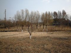 -门城湖公园