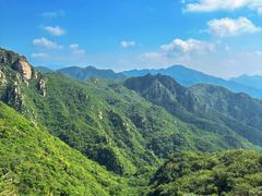 -大岭沟猕猴桃谷风景区