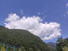 -牛背梁国家森林公园