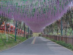 -黄龙溪欢乐田园