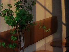 -Reset Coffee 与海咖啡