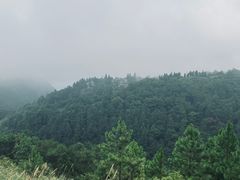 -浮游·云巅派对西餐厅(鼓岭旅游度假区店)