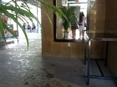 -100蛋泥浆浴