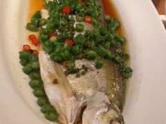 -绿茶餐厅(哈尔滨凯德店)